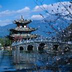 我的学习元